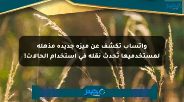 واتساب تكشف عن ميزة جديدة مذهلة لمستخدميها تَحدث نقلة في استخدام الحالات!